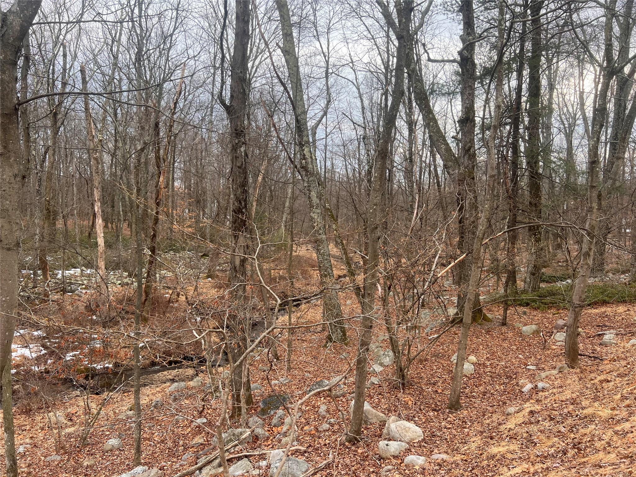 Sawyer Lane, Pine Bush, New York image 5