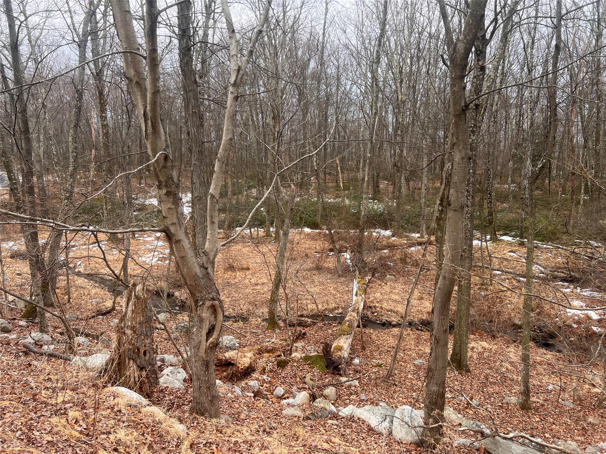 Sawyer Lane, Pine Bush, New York image 4