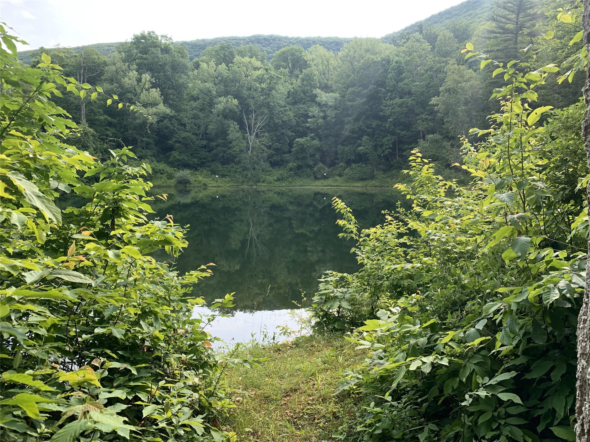 Lot 30 Quarry Hill Road, Millerton, New York image 8