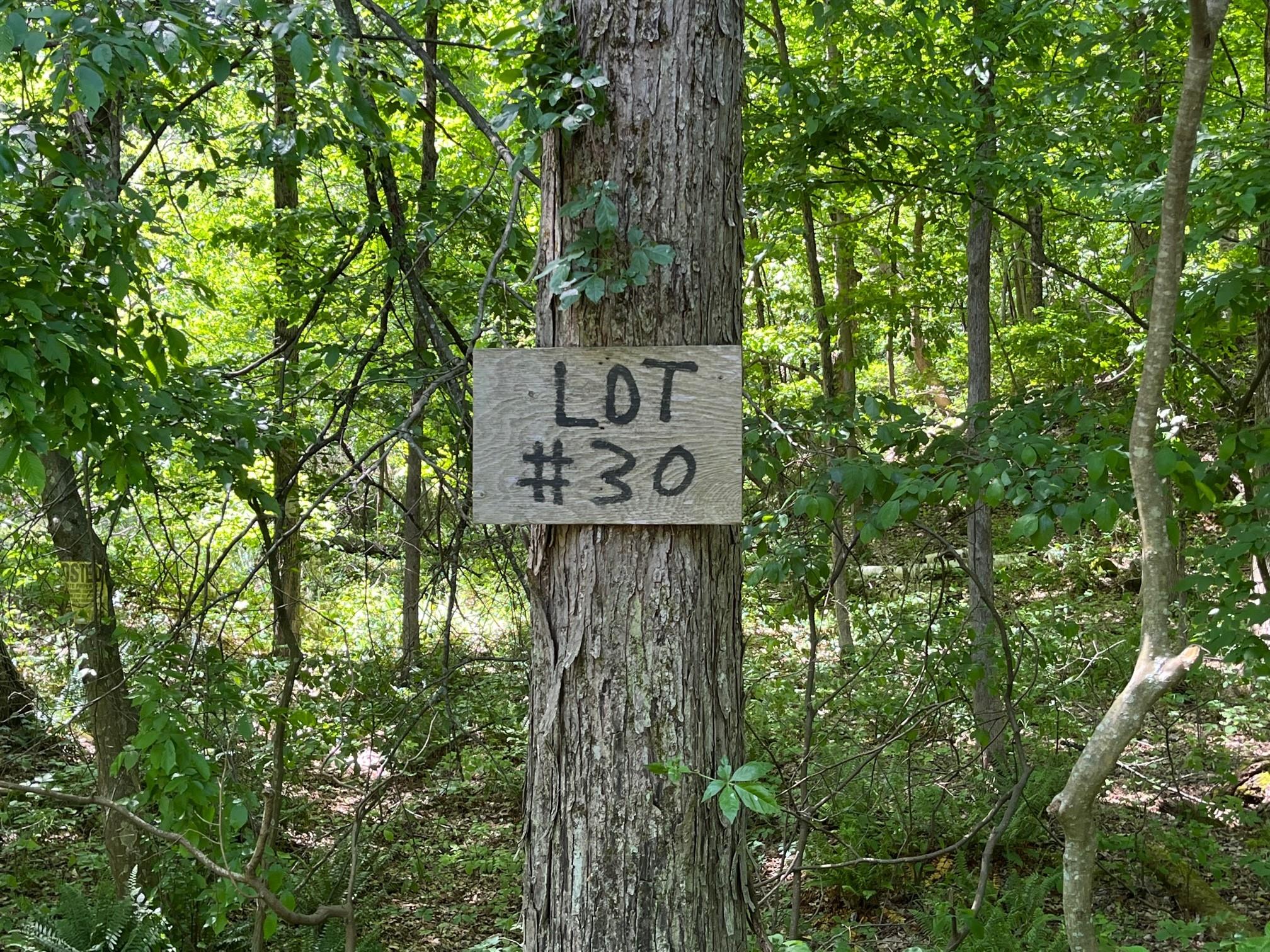 Lot 30 Quarry Hill Road, Millerton, New York image 2