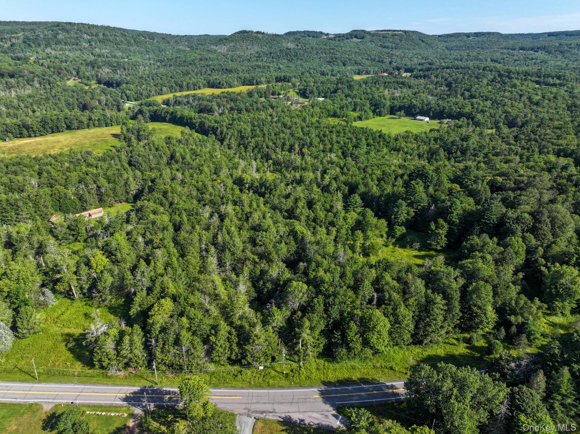 LOT 3 Neversink Road
