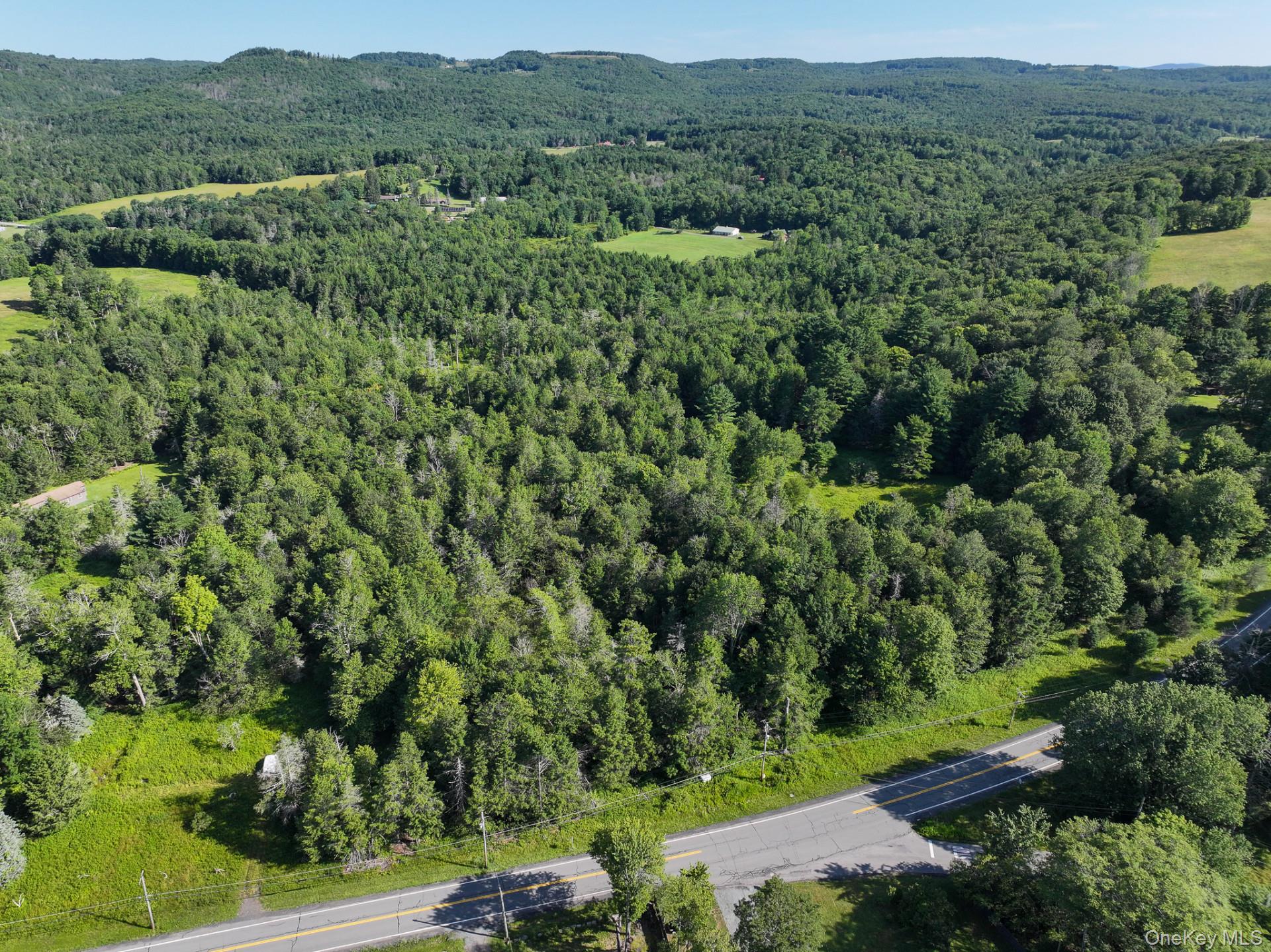 LOT 3 Neversink Road