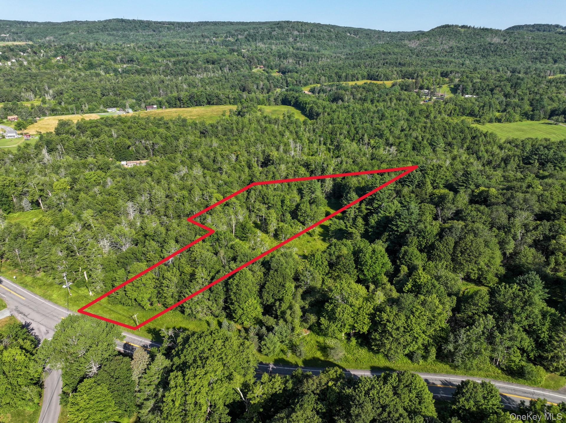 LOT 3 Neversink Road