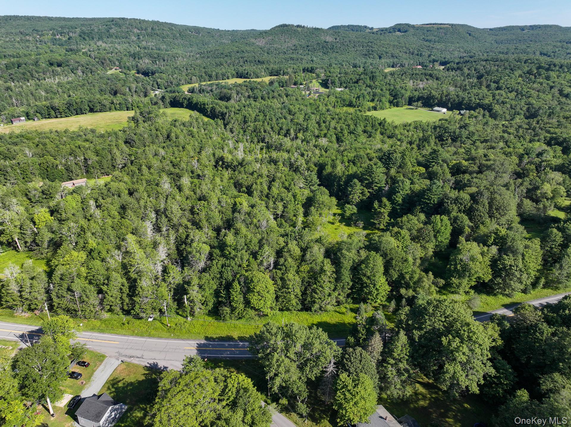 LOT 3 Neversink Road