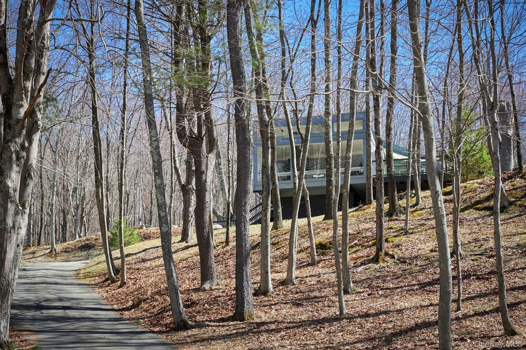 Photo of 611 N Clove Road, Millbrook, NY 12545 (MLS # 977025)