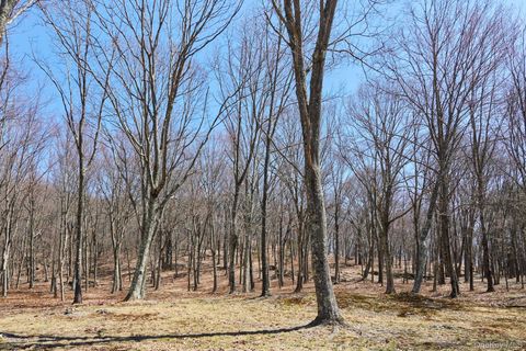 Tiny photo for 611 N Clove Road, Millbrook, NY 12545 (MLS # 977025)