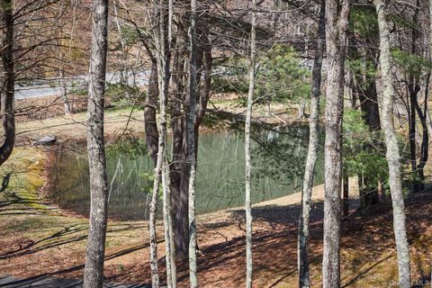 Tiny photo for 611 N Clove Road, Millbrook, NY 12545 (MLS # 977025)