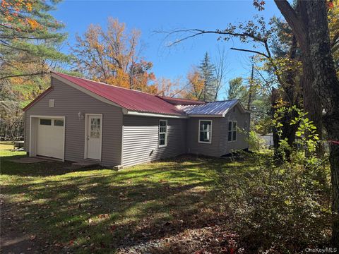 553 Cold Spring Monticello NY 12701