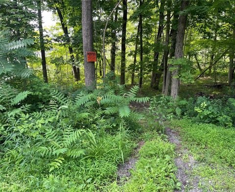 Vacant Land For Sale - Fiddler's Bridge/schoolhouse Rd<br/> Clinton Corners, NY 