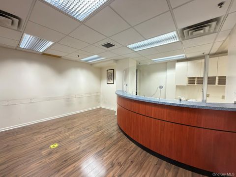 133-47 Sanford Avenue 1H Flushing NY 11355