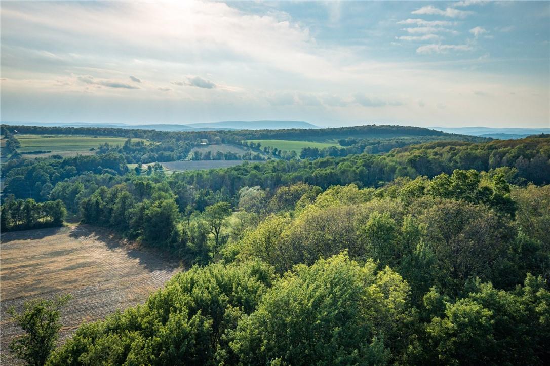 5 Homestead Farm Lane, Millerton, New York image 1