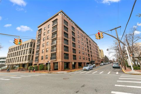 12 BOND Street 4-C Great Neck NY 11021