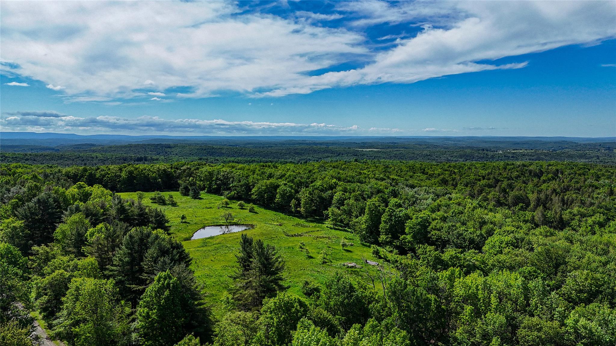 166 Budnick Road, Parksville, New York image 3