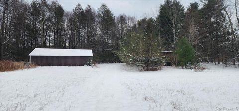 20 Hasbrouck A Road Loch Sheldrake NY 12759