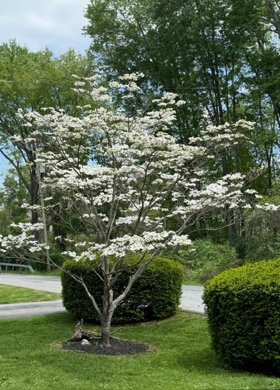5 Baker Street, Staatsburg, New York image 31