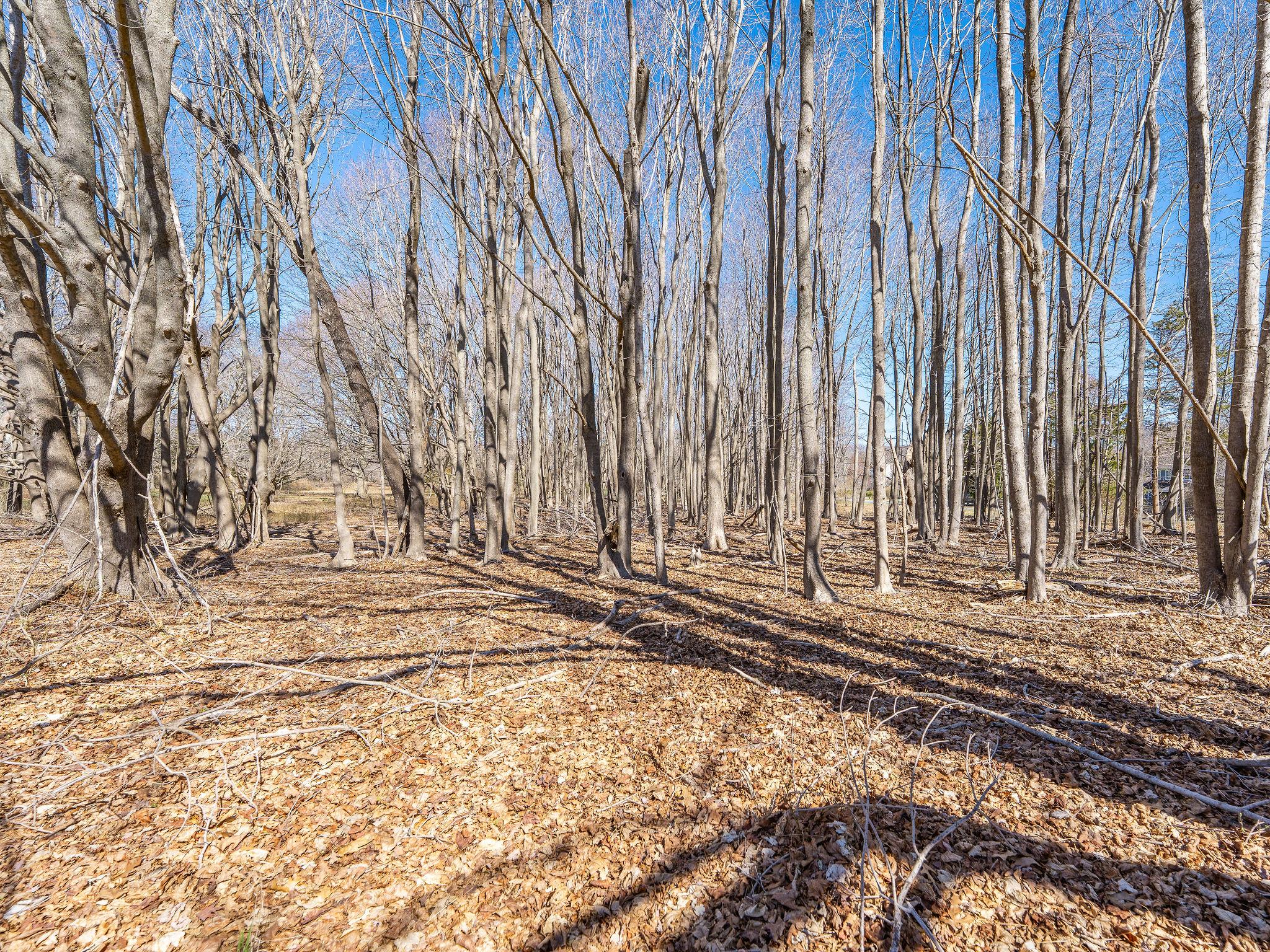 195 Mt Beulah Avenue, Southold, New York image 9