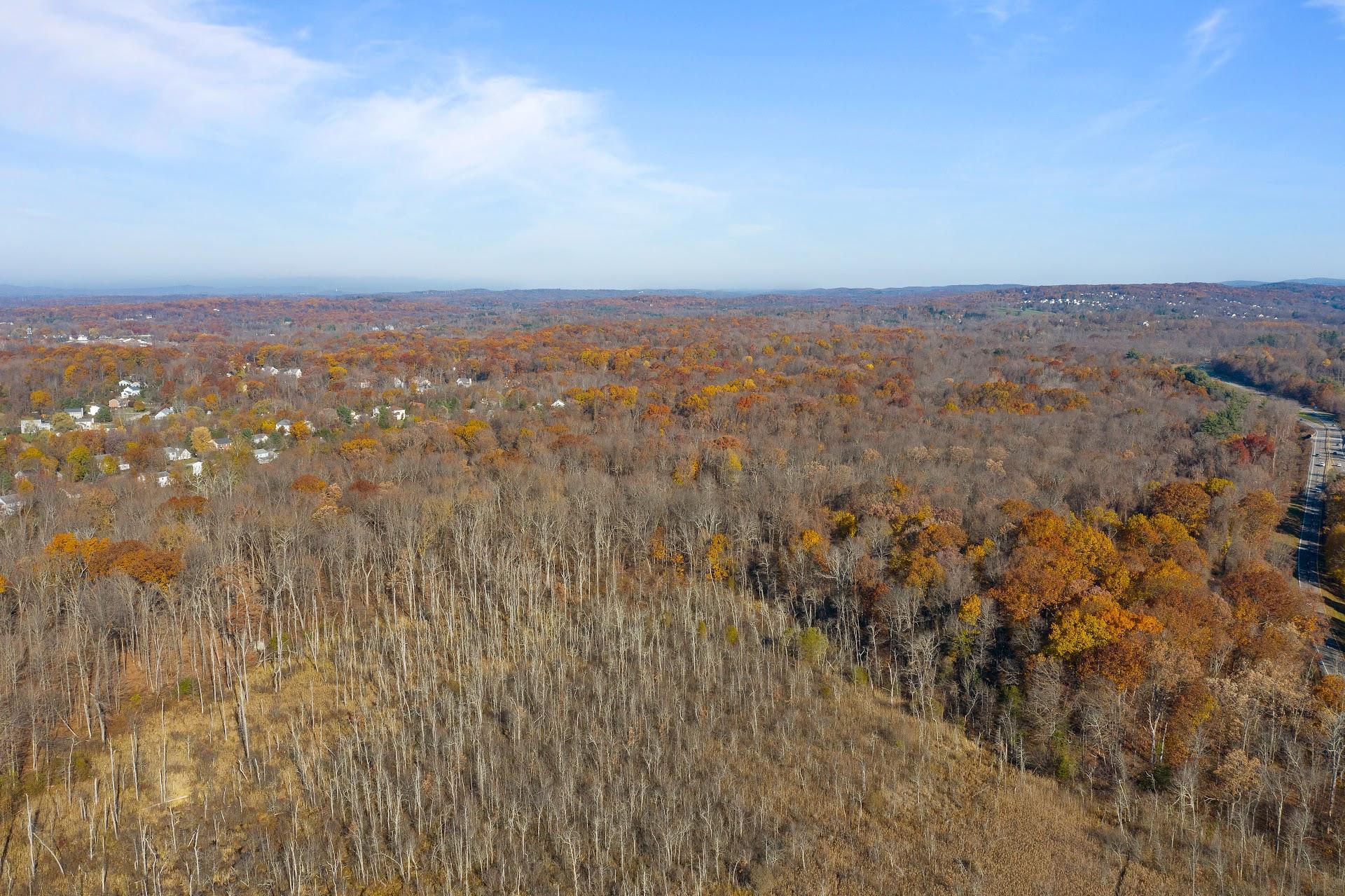 Saddle Ridge Road, Hopewell Junction, New York image 2