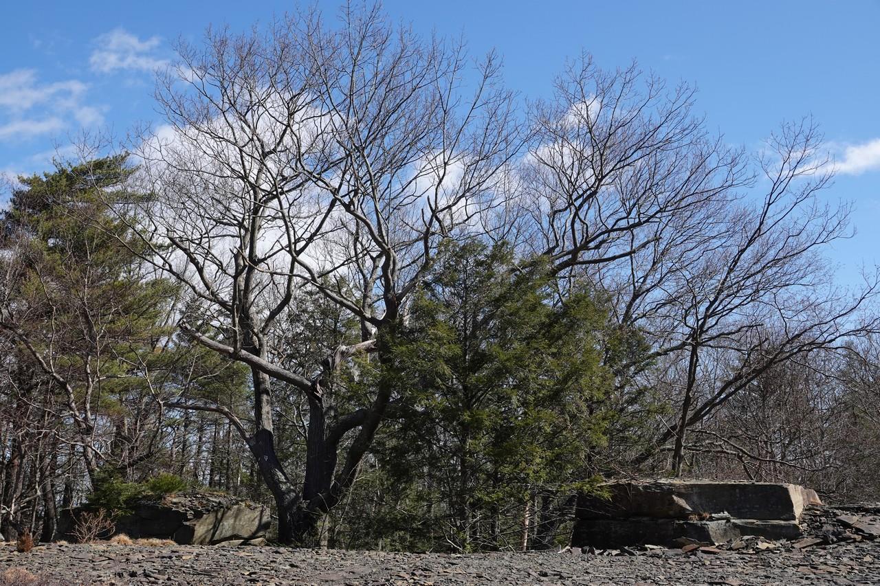 736-738 Manorville, Saugerties, New York image 11