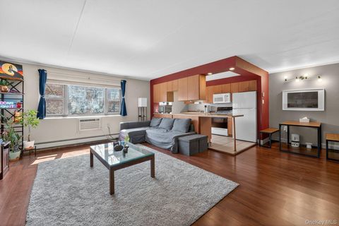 Homes For Sale - 100 Clinton Avenue #3K<br/> Mineola, NY 11501