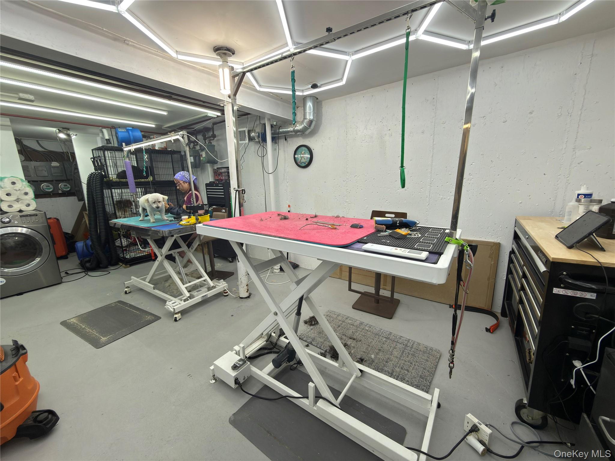 86-31 Whitney Avenue