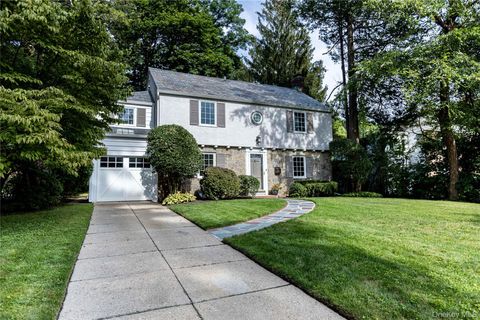 20 Mill Spring Road Manhasset NY 11030