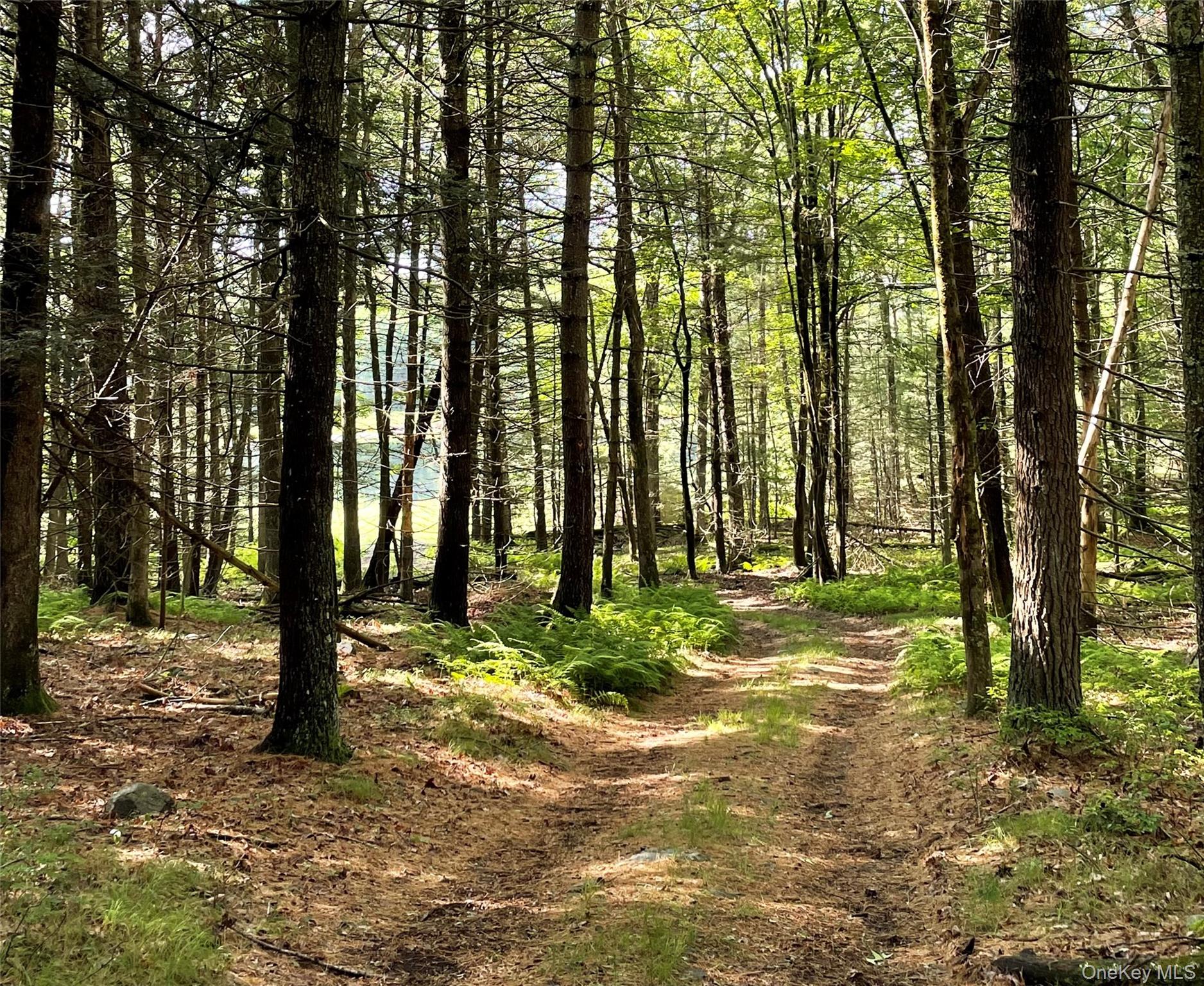 Split Rock Drive
