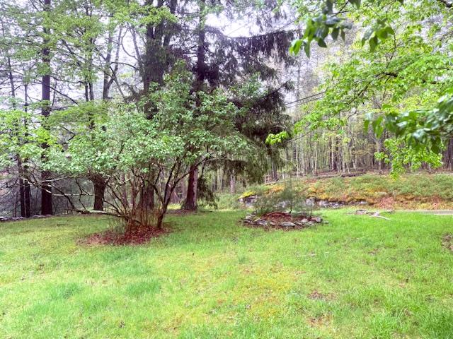 38 Eldred Yulan Road, Eldred, New York image 2
