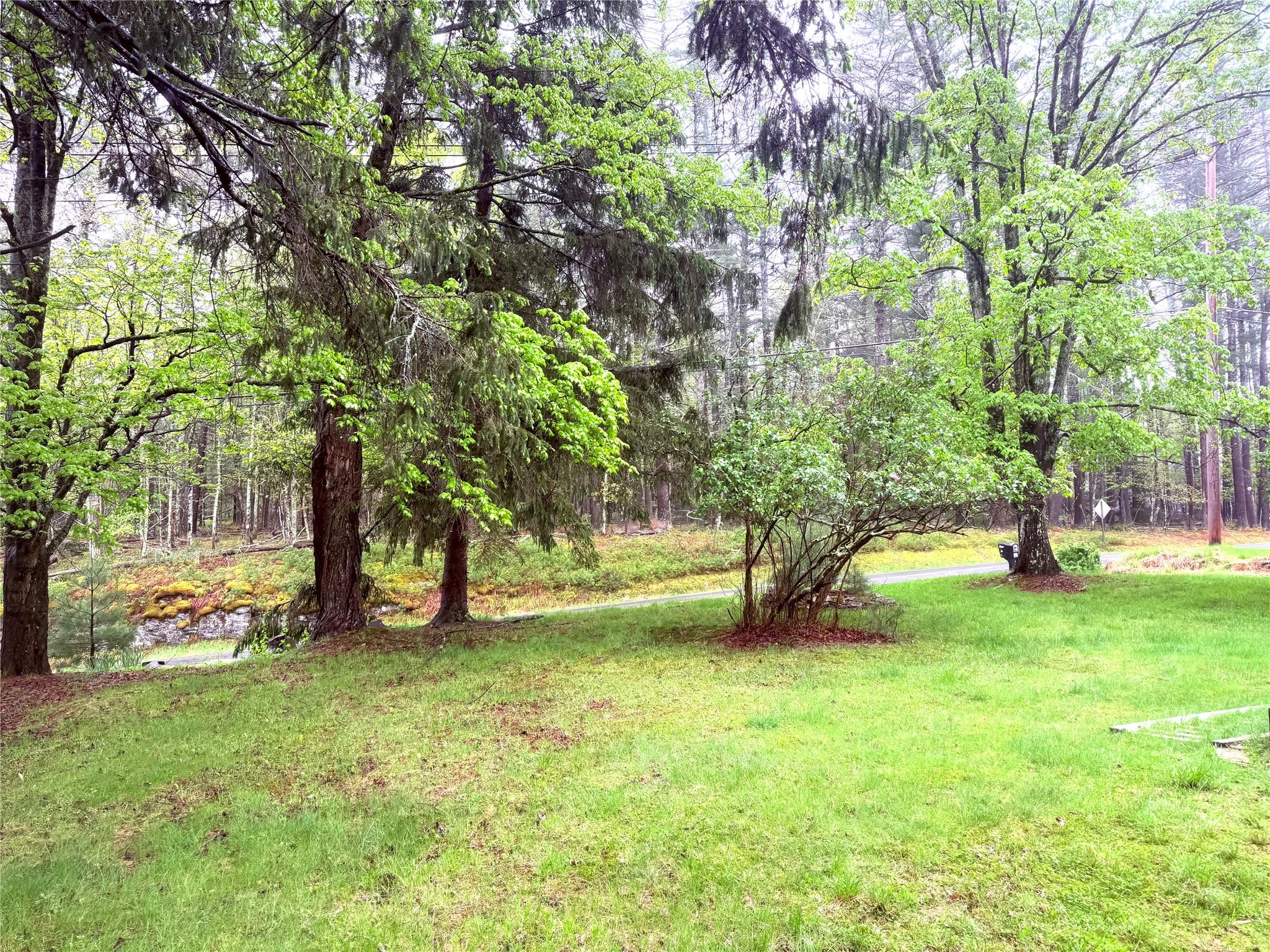 38 Eldred Yulan Road, Eldred, New York image 4