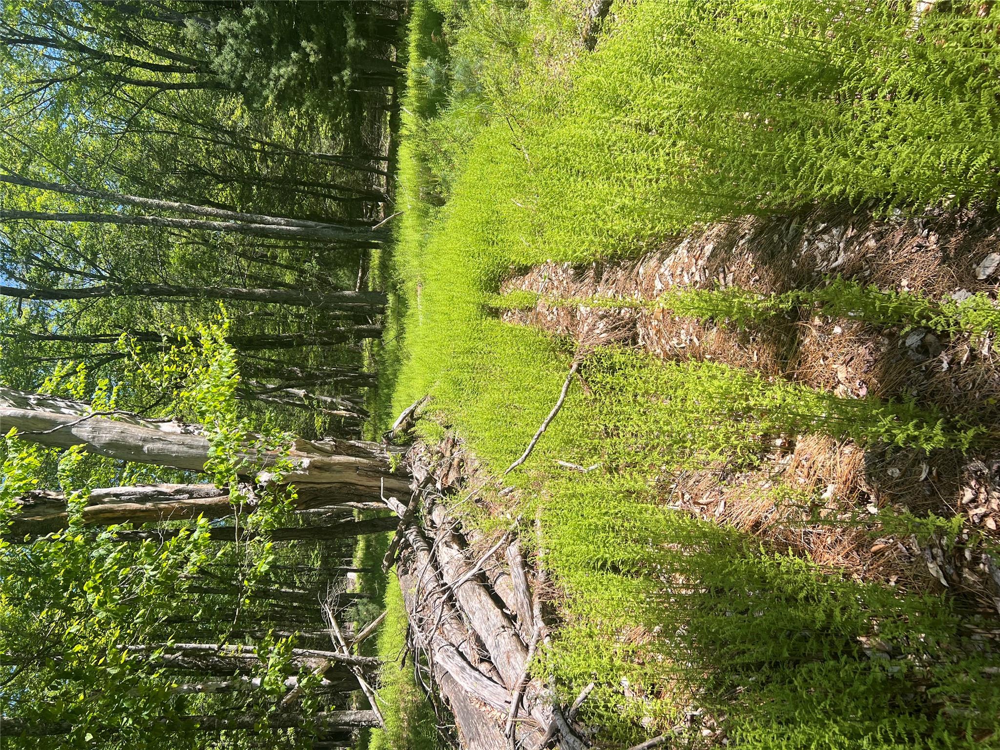 95 Old Tacy Road, Swan Lake, New York image 6
