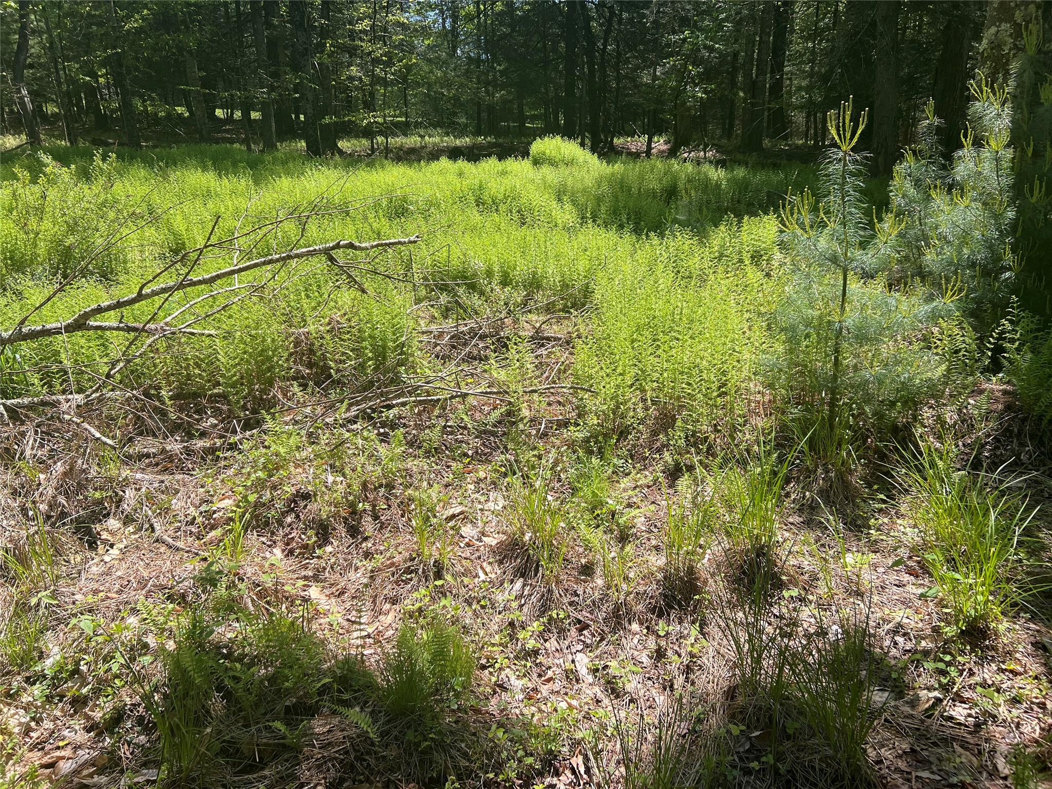 95 Old Tacy Road, Swan Lake, New York image 9
