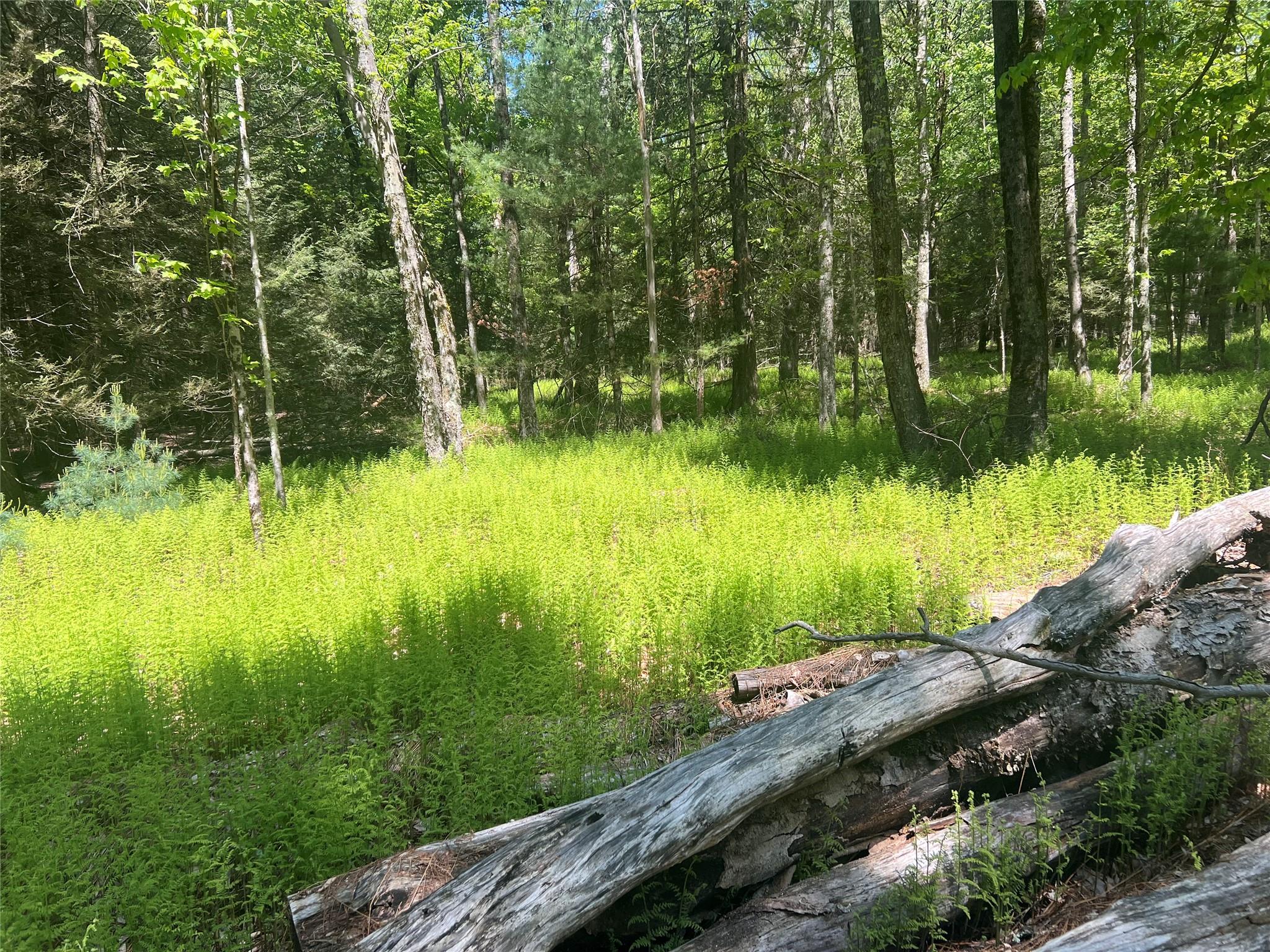 95 Old Tacy Road, Swan Lake, New York image 7