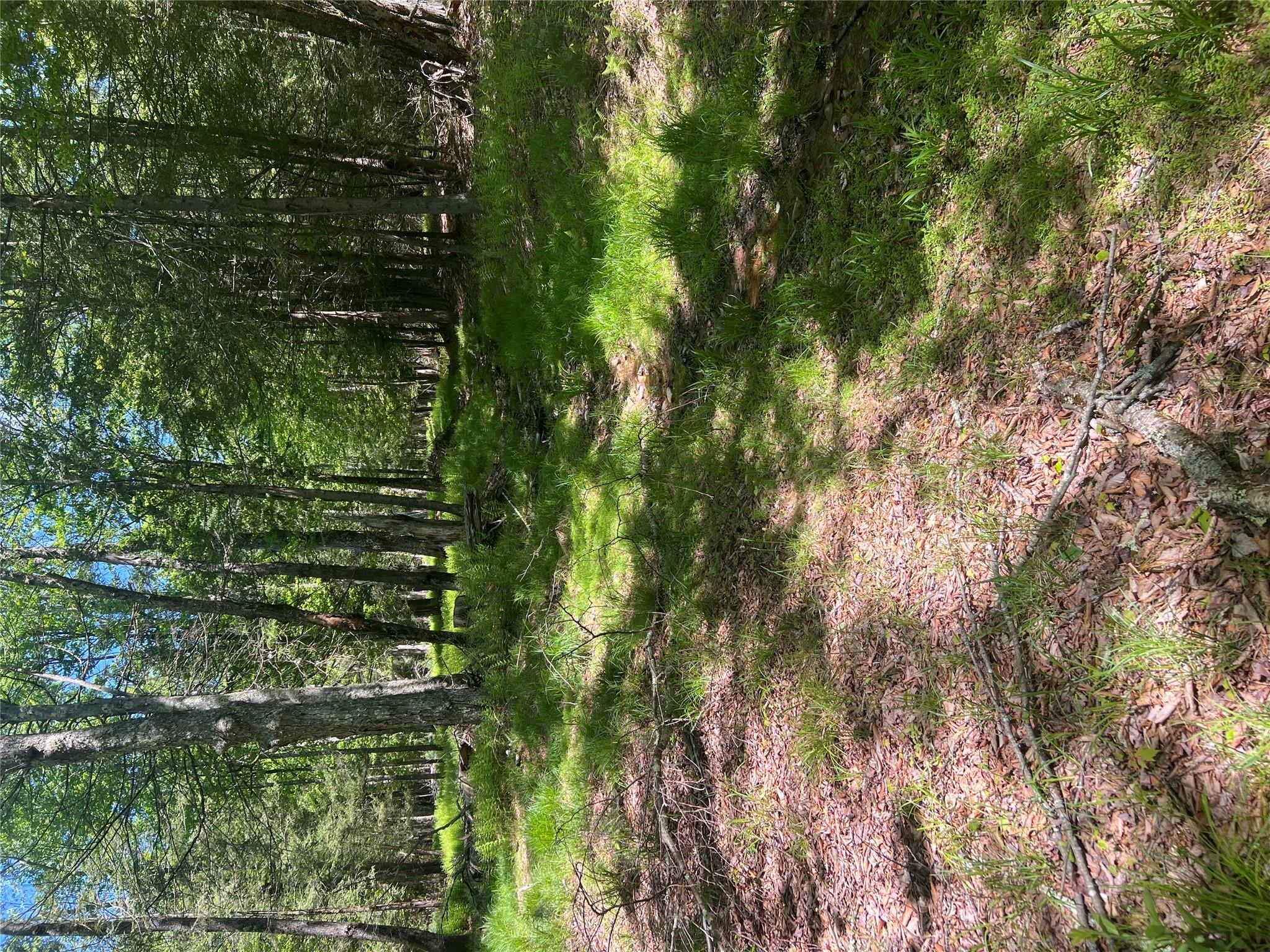 95 Old Tacy Road, Swan Lake, New York image 11