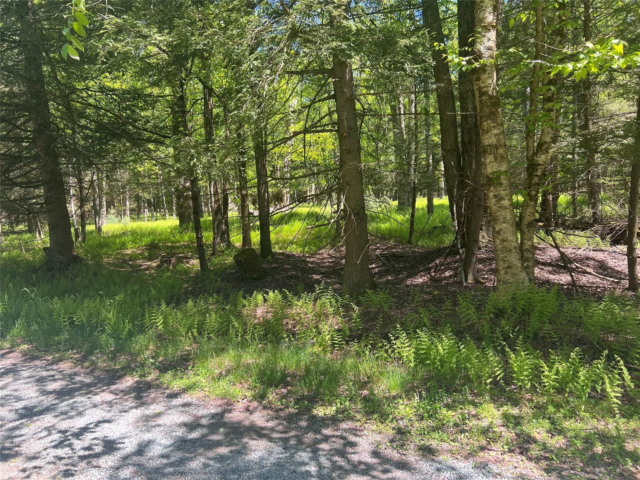 95 Old Tacy Road, Swan Lake, New York image 5