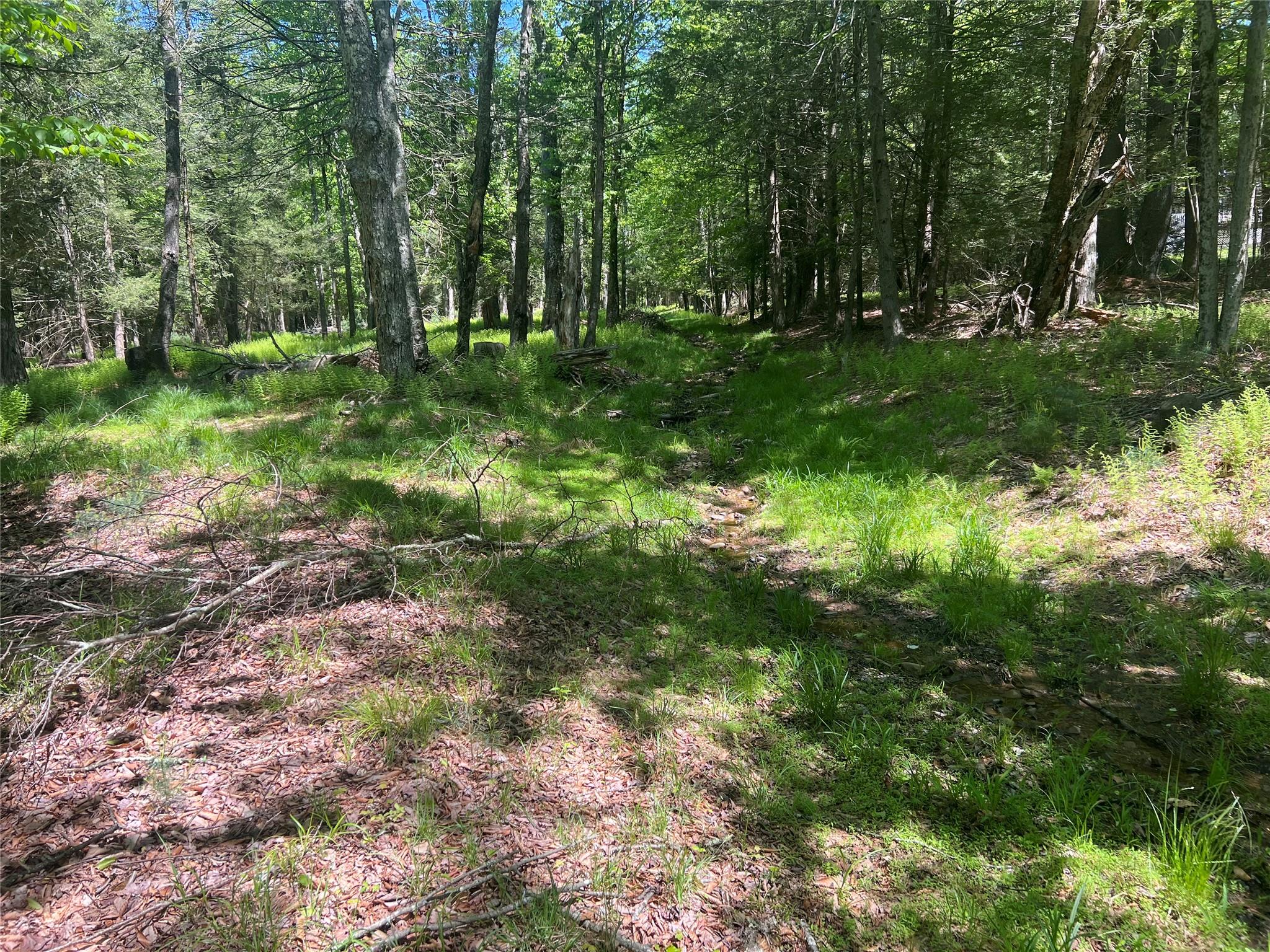 95 Old Tacy Road, Swan Lake, New York image 1