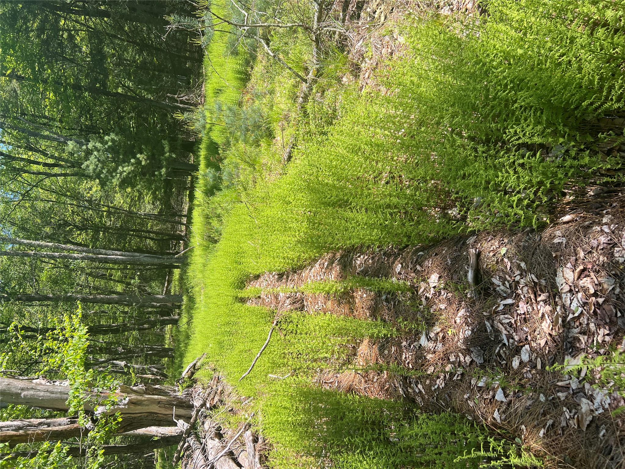 95 Old Tacy Road, Swan Lake, New York image 3