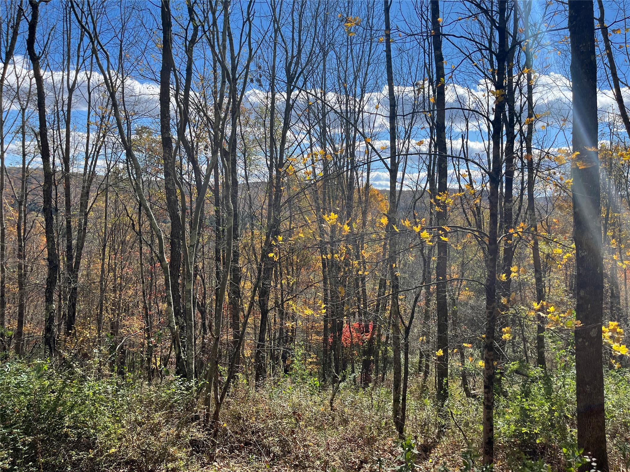 00 Debruce Road, Livingston Manor, New York image 8