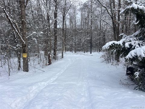 Methol Road Hancock NY 13783