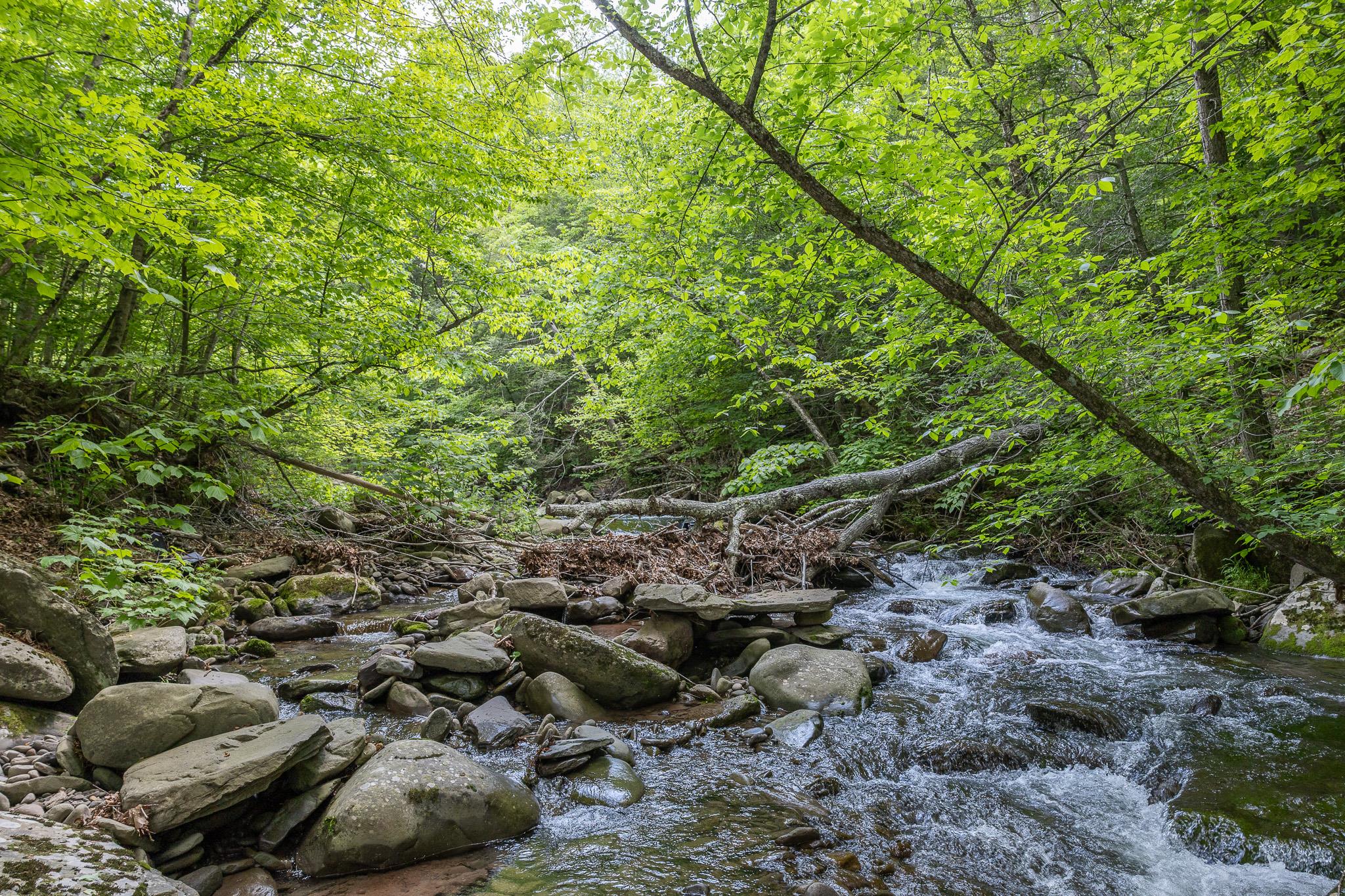 88 Fox Hollow Road, Shandaken, New York image 4
