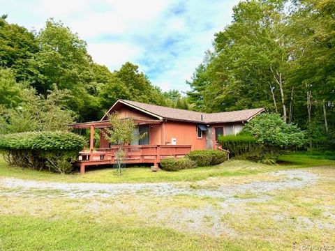 19 Andrew Paye Road Pond Eddy NY 12770