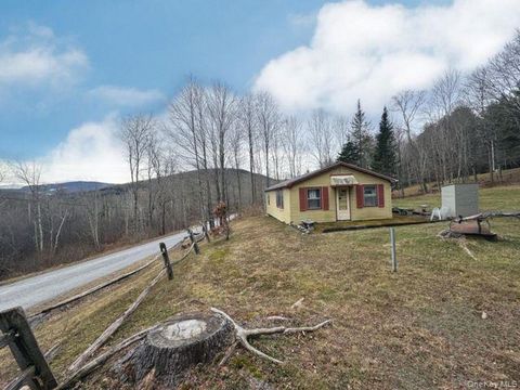 Homes For Sale - 49 Ryan Road<br/> Hunter, NY 12444