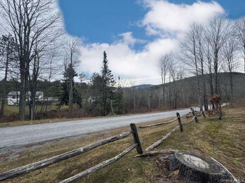 Photo of 49 Ryan Road, Hunter, NY 12444 (MLS # 922892)