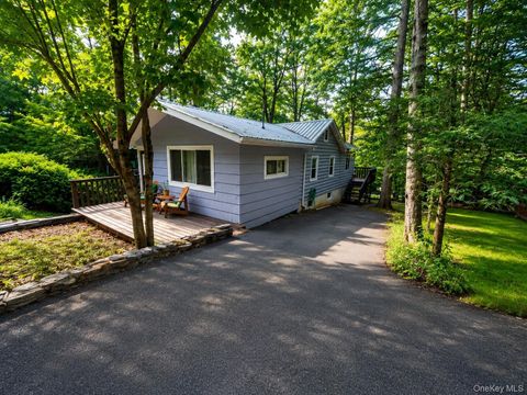 Homes For Sale - 63 E Kenoza Place<br/> Smallwood, NY 12778