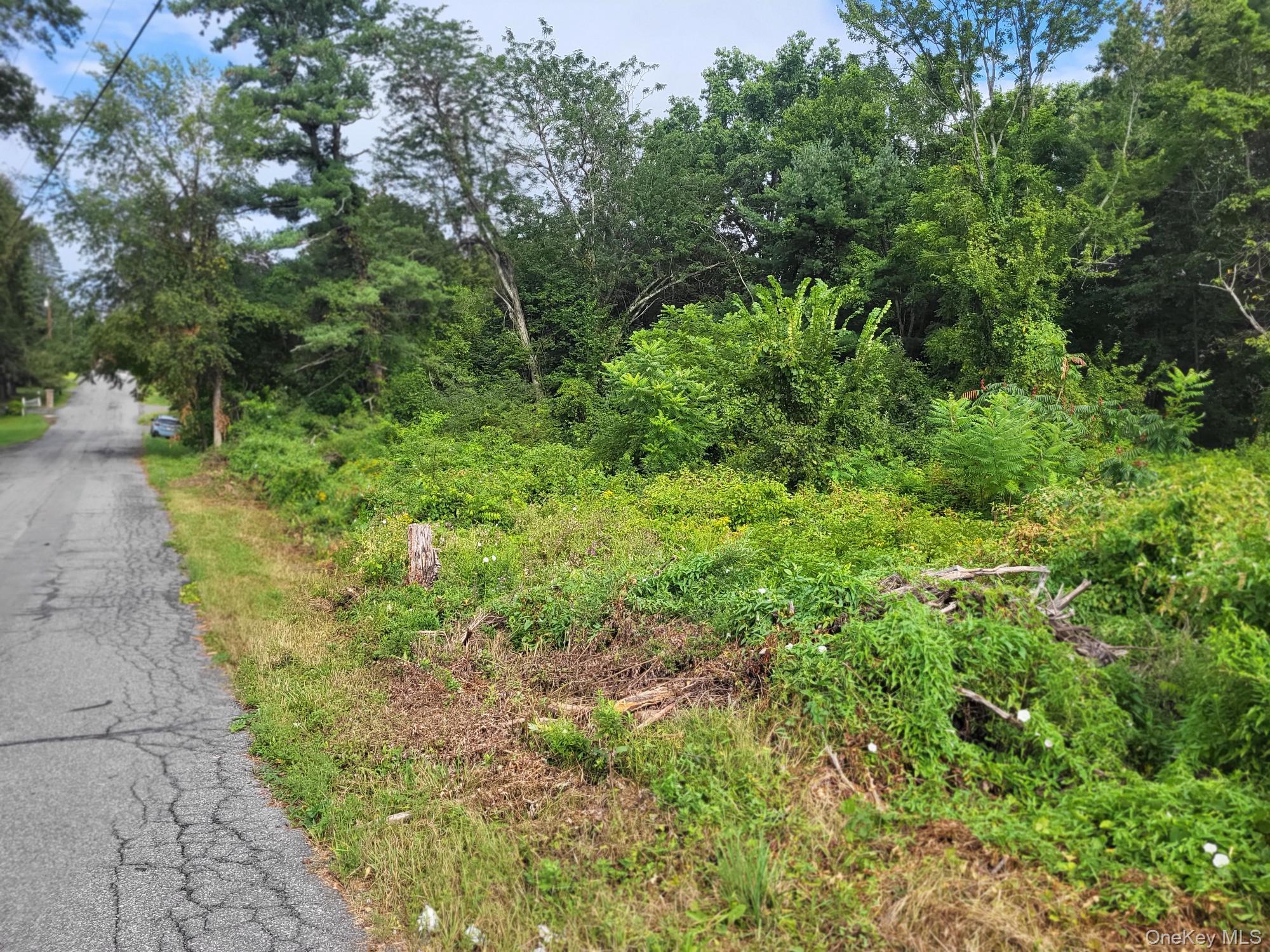 W NYS RTE 208 Highway (Bona Ventura) Avenue