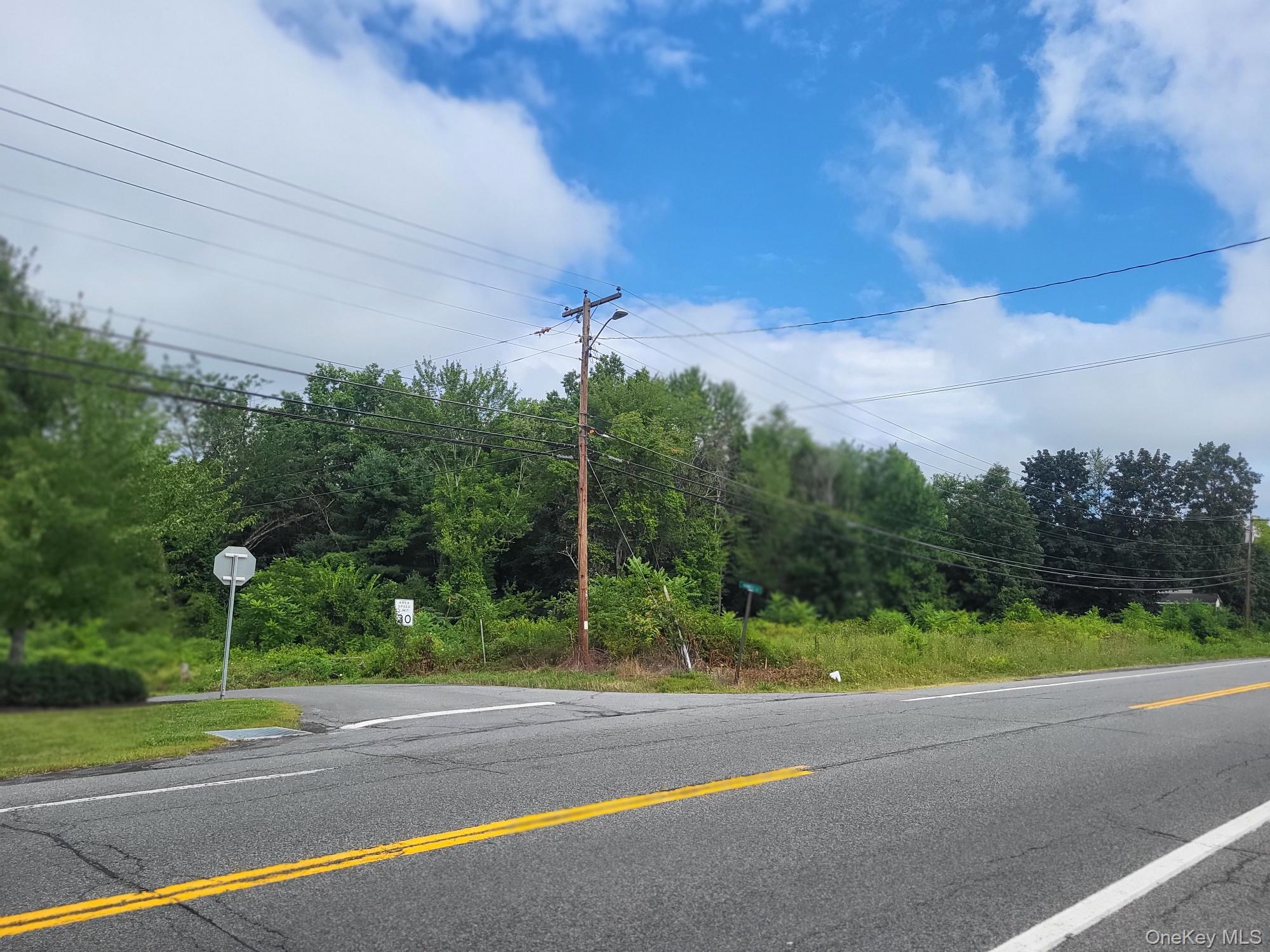 W NYS RTE 208 Highway (Bona Ventura) Avenue