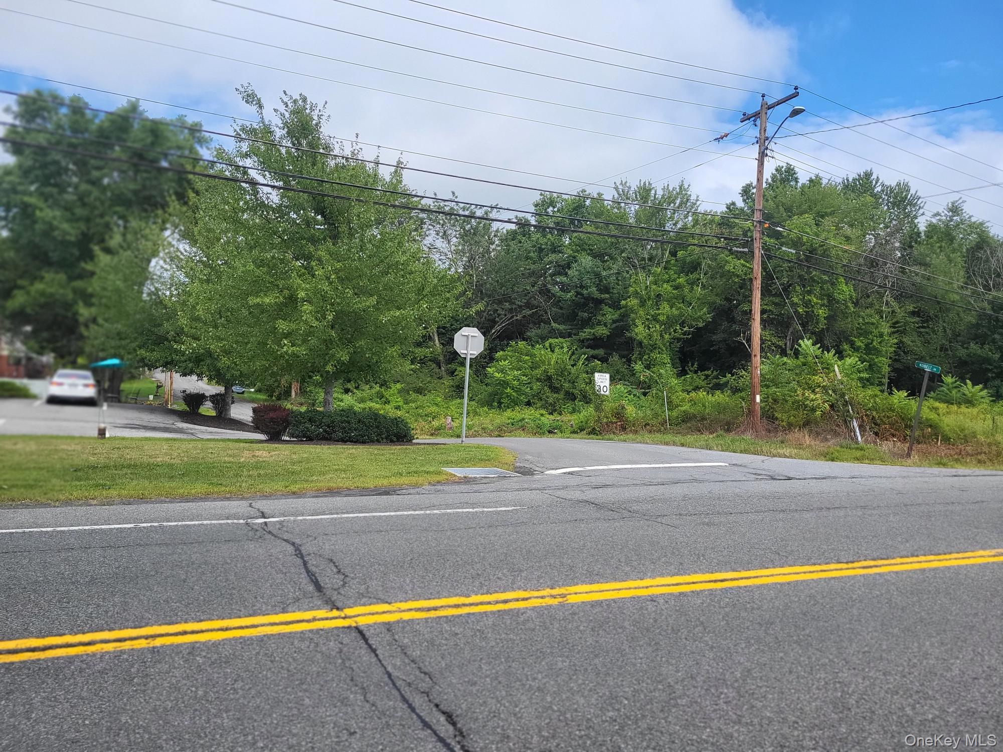 W NYS RTE 208 Highway (Bona Ventura) Avenue