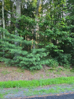 HORSESHOE LAKE RD, KAUNEONGA LAKE, NY 12749 - Image d4fe5dd2b4b62fd0db3600a2d57372d6/3522082732