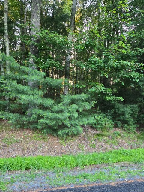 Vacant Land For Sale - Horseshoe Lake Road<br/> Sullivan County, Bethel, NY 12764