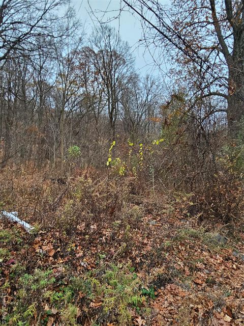 73 Sylvan Trail Blooming Grove NY 10950