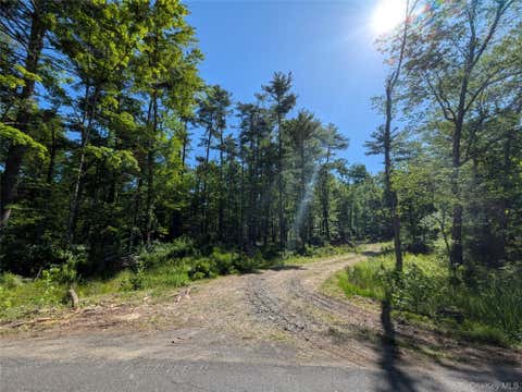 Vacant Land For Sale - 856 Berme Road<br/> Ulster County, High Falls, NY 12440