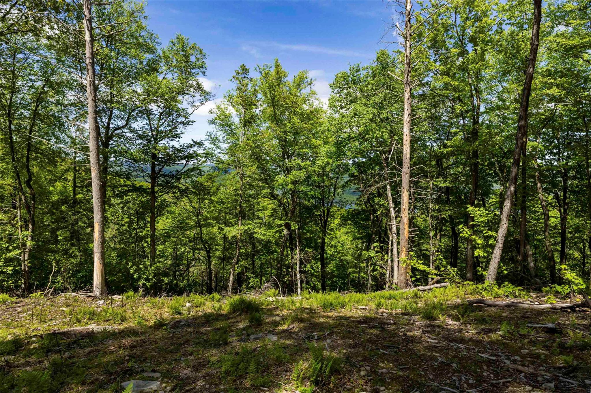 1 Red Rock Road, Wawarsing, New York image 13